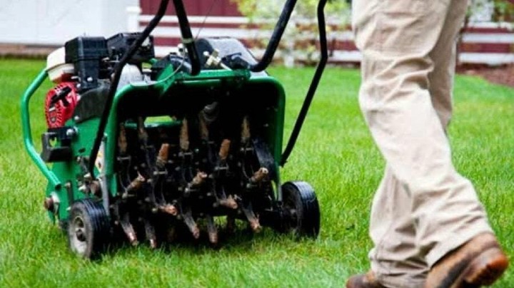 Aeration Services for Lawn Health
